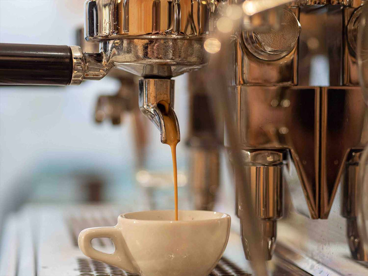 Espresso läuft aus dem Siebträger einer Espressomaschine in eine helle Tasse